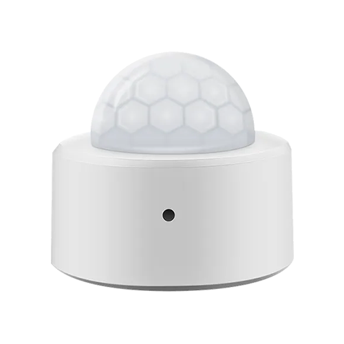 Motion Sensor