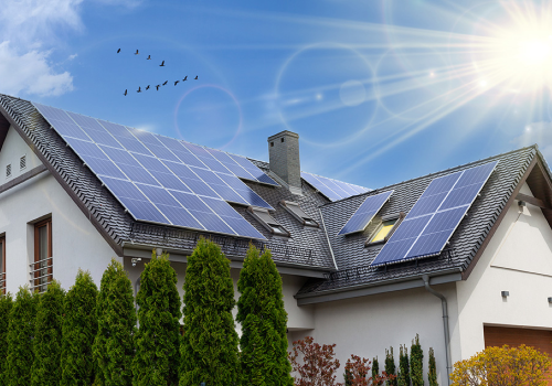 Tigo