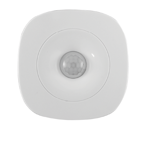 Motion Sensor