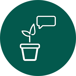 Willow Icon